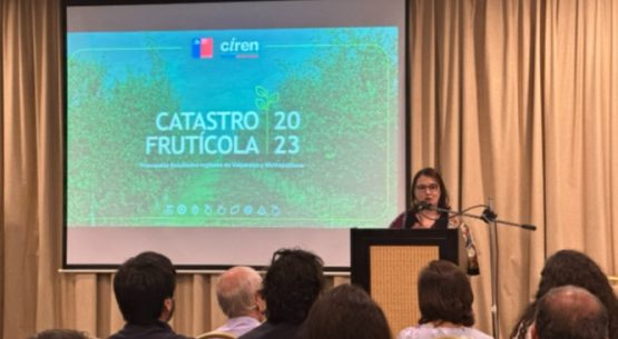 Odepa y Ciren actualizaron los catastros frutícolas de las regiones de Valparaíso y Metropolitana