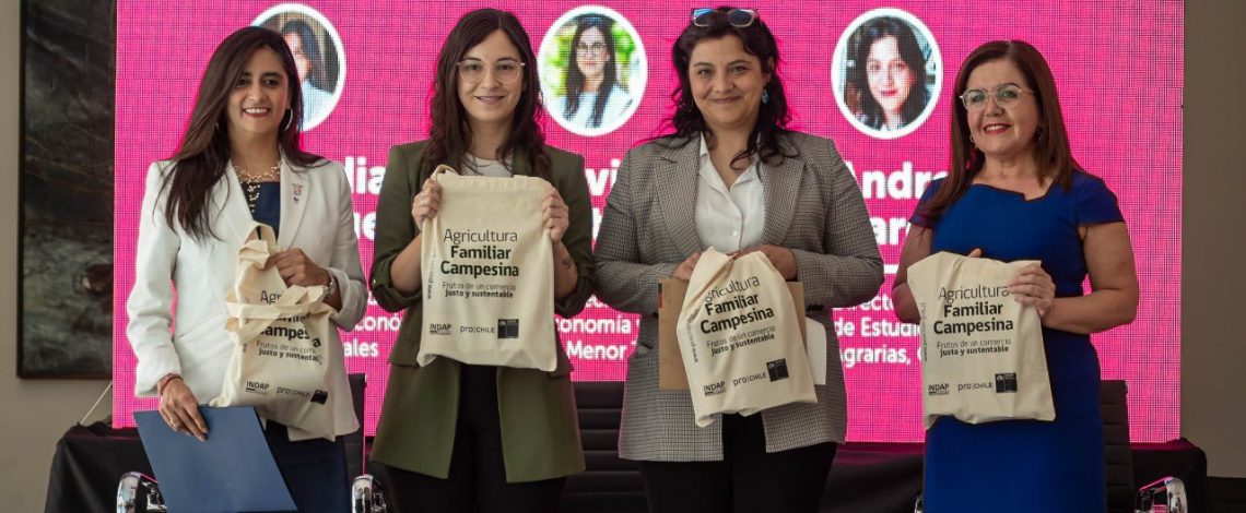 Subrei organiza seminario para analizar desafíos y oportunidades de mipymes y cooperativas en el comercio internacional  