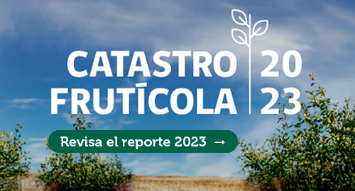Revisa el reporte 2023 del Catastro Frutícola