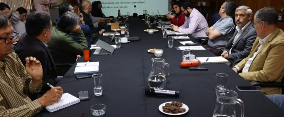 Coordinada por Odepa se reunió la Comisión Nacional de Agricultura Orgánica