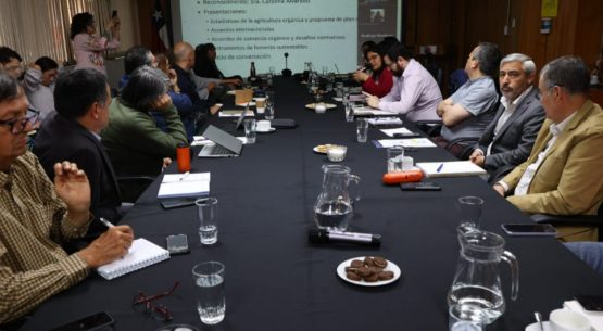 Coordinada por Odepa se reunió la Comisión Nacional de Agricultura Orgánica
