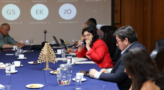 Con amplia participación, se reunió la Comisión Nacional del Trigo