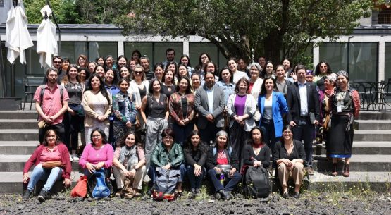 En la Región de la Araucanía se presentaron los resultados del estudio sobre las percepciones de violencia contra la mujer en territorios rurales