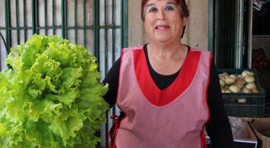 Estudio: Estrategias para reducir las pérdidas de alimentos a nivel predial en la agricultura familiar campesina