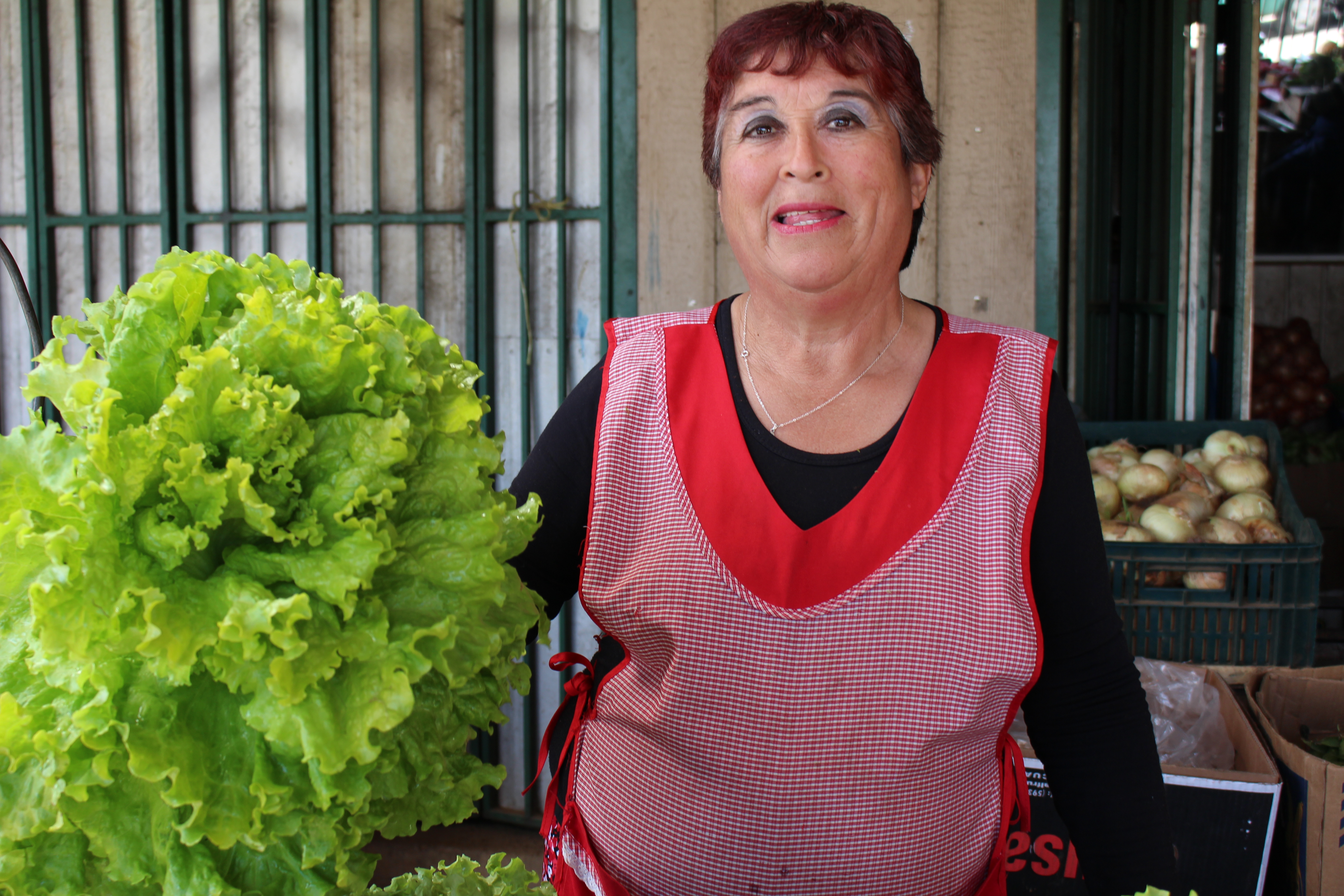 Estudio: Estrategias para reducir las pérdidas de alimentos a nivel predial en la agricultura familiar campesina