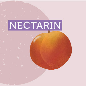 NectarinArica