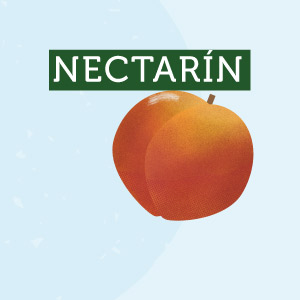NectarinBiobio