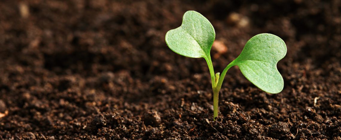 Estudio: “Levantamiento de insumos para instrumentos de bonificación y focalización para el Sistema de Incentivos para la Gestión Sostenible de Suelos Agropecuarios (SIGESS)”