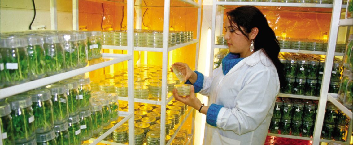 Estudio: Plan de acción para el mejoramiento al Inventario Nacional, herramientas, sistemas o procesos ya existentes para elaborar y actualizar proyecciones de emisiones sectoriales y escenarios de mitigación del sector agropecuario