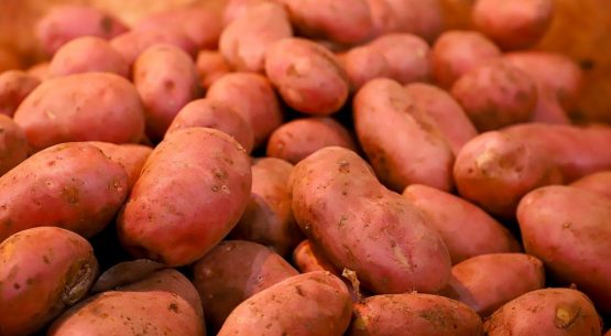 Ministro de Agricultura: “Nuestra tarea es garantizar precios justos y accesibles para las familias chilenas, denunciaremos cualquier anomalía»