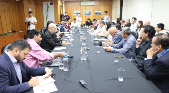 Coordinada por Odepa se realizó primera Sesión Comité Publico Privado de fomento a las cooperativas