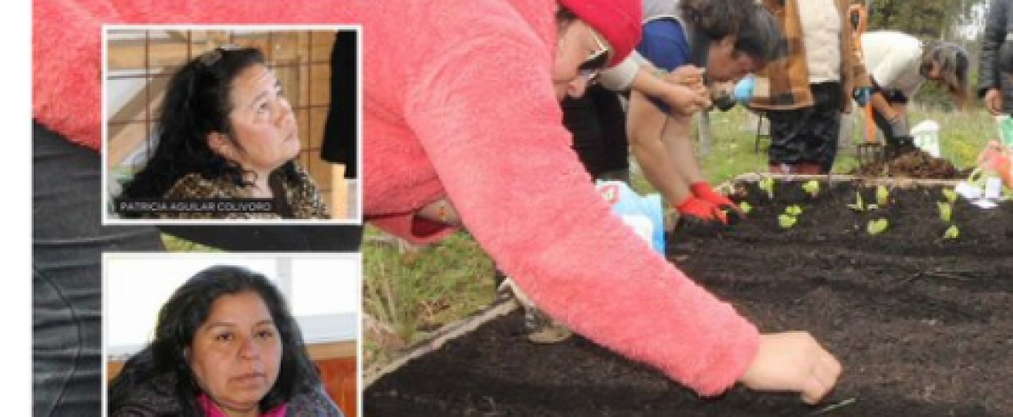 Hoy en la revista Ya, un reportaje sobre el proyecto de Odepa sobre las Guardadoras de Semillas de Chiloé