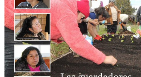 Hoy en la revista Ya, un reportaje sobre el proyecto de Odepa sobre las Guardadoras de Semillas de Chiloé