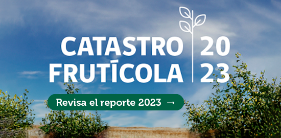 Catastro Frutícola 2023