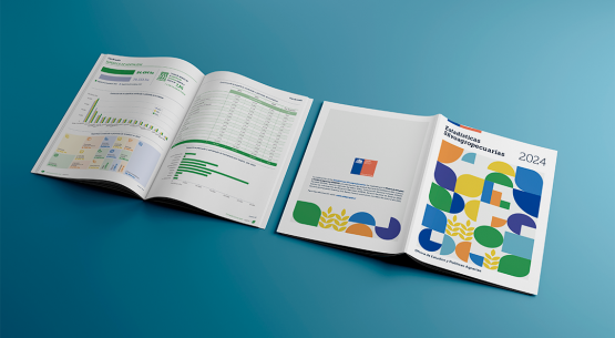 Estadísticas Silvoagropecuarias 2024: Odepa presenta la evolución del sector en los últimos 10 años