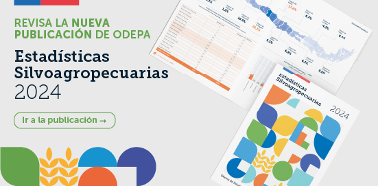 Publicación de Estadísticas Silvoagropecuarias ed. 2024 de Odepa