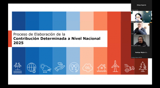 Actualización de las NDC: Minagri y MMA realizan taller con el sector forestal