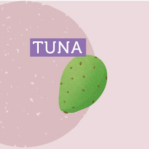 TunaArica