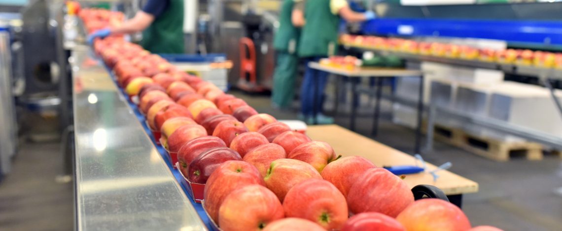 Comenzó la segunda etapa de poblamiento del marco de cualificaciones técnico profesional agropecuario 