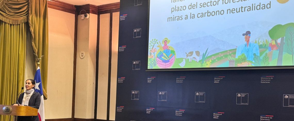 Minagri y MMA realizan con éxito segunda sesión del taller “Escenarios de largo plazo del sector forestal en el contexto de la meta de carbono neutralidad”