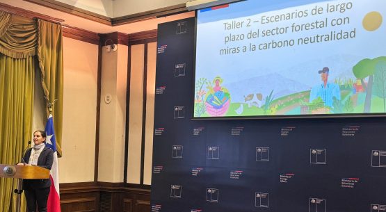 Minagri y MMA realizan con éxito segunda sesión del taller “Escenarios de largo plazo del sector forestal en el contexto de la meta de carbono neutralidad”