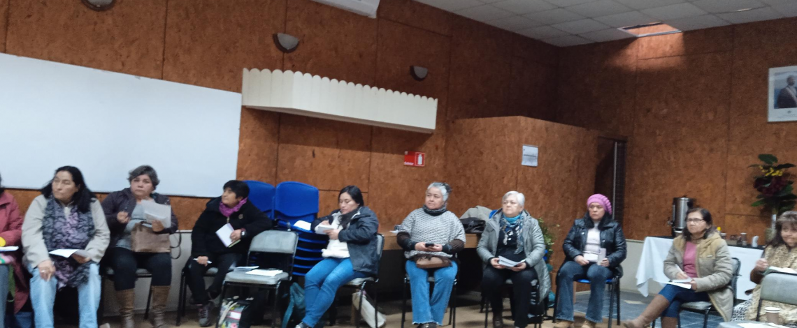 Profesional de Odepa dio charla a mujeres rurales de La Araucanía