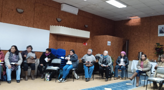 Profesional de Odepa dio charla a mujeres rurales de La Araucanía