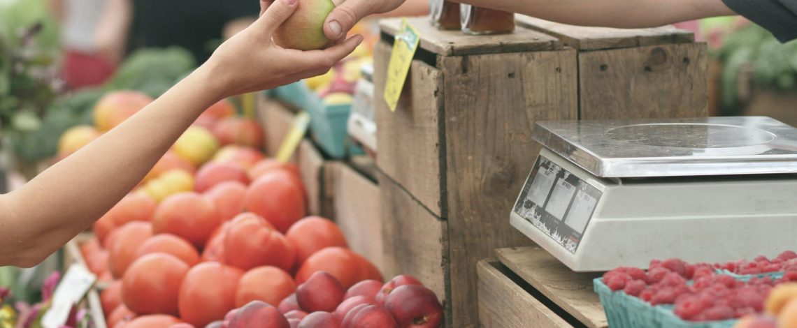 Pérdidas y Desperdicios de Alimentos: Directora Nacional de Odepa participa en reportaje en Diario Financiero
