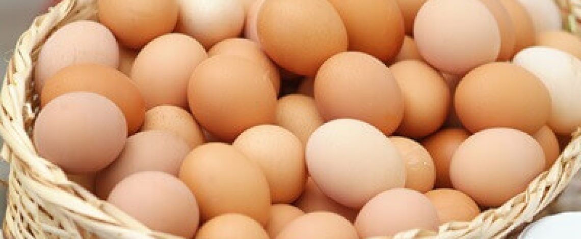 Mercado del huevo en el contexto de Influenza Aviar 2023