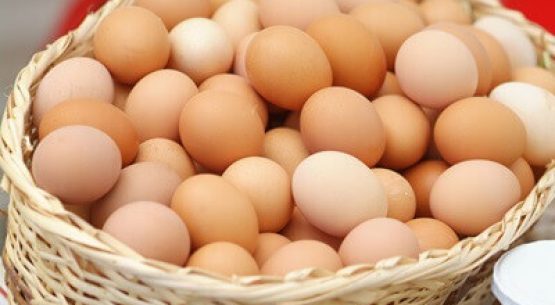 Mercado del huevo en el contexto de Influenza Aviar 2023