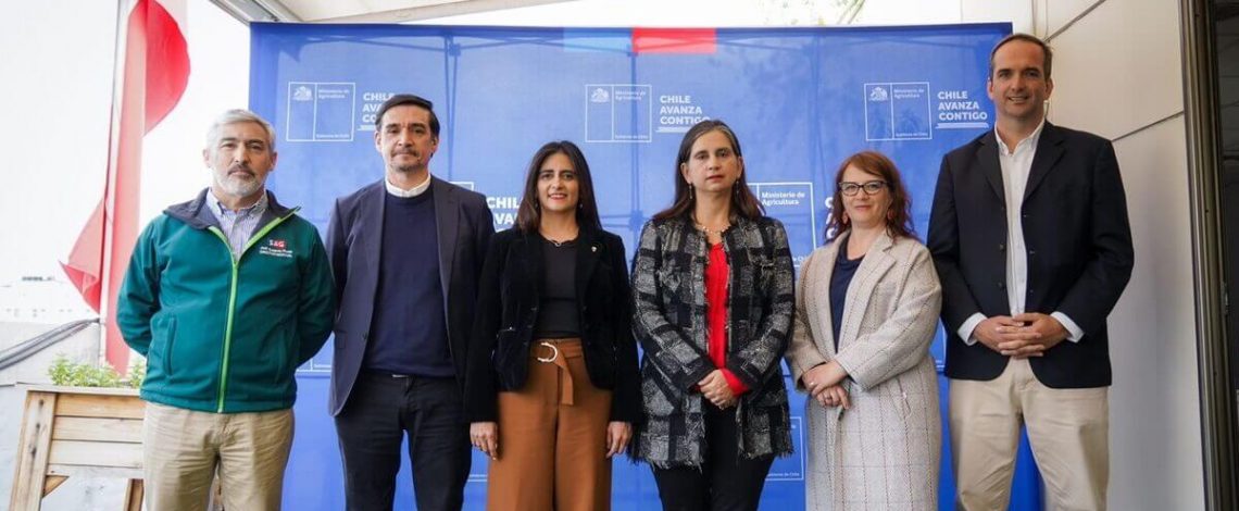 China reabre el mercado para las exportaciones avícolas chilenas y autoridades destacan positivo impacto para la economía