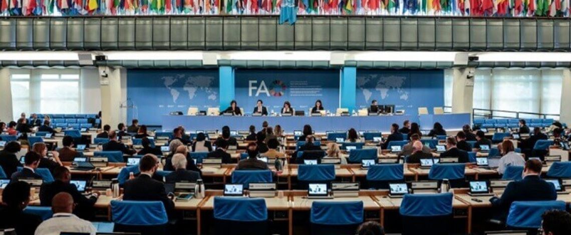 Comité de Agricultura de FAO aprueba propuesta de Chile para contar con un “Día Internacional de las Frutas y Verduras”