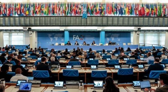 Comité de Agricultura de FAO aprueba propuesta de Chile para contar con un “Día Internacional de las Frutas y Verduras”