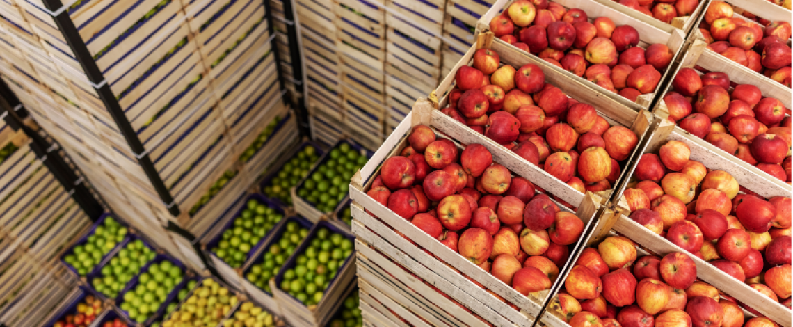 Boletín de fruta, abril 2025