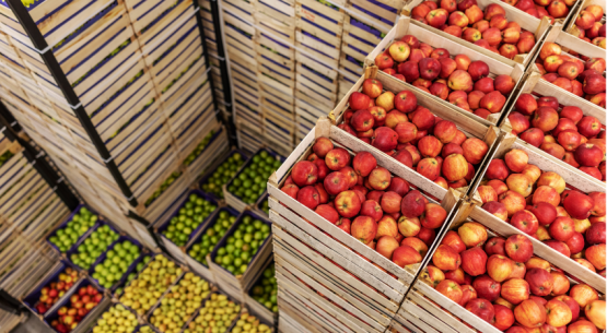 Boletín de fruta, abril 2025