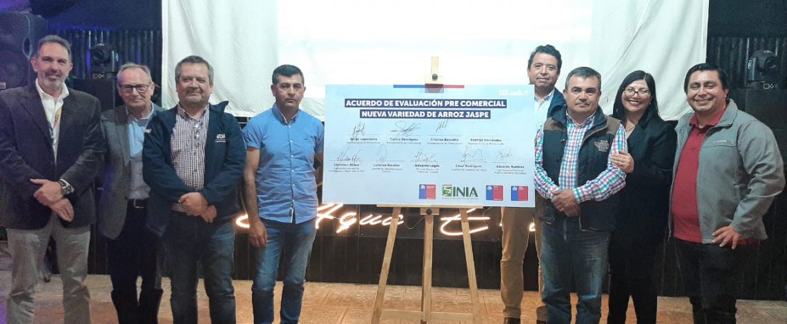 Ministerio de Agricultura presenta el programa de transferencia tecnológica de la nueva variedad de Arroz JASPE