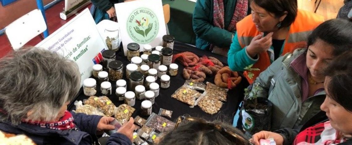 Agrogénero N°28, octubre 2024