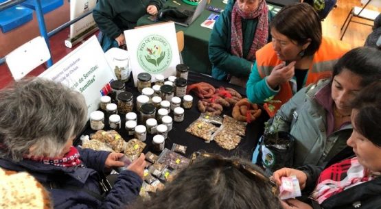 Agrogénero N°28, octubre 2024