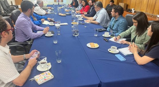 Con representantes de la apicultura se reunió la Comisión Nacional de Apicultura