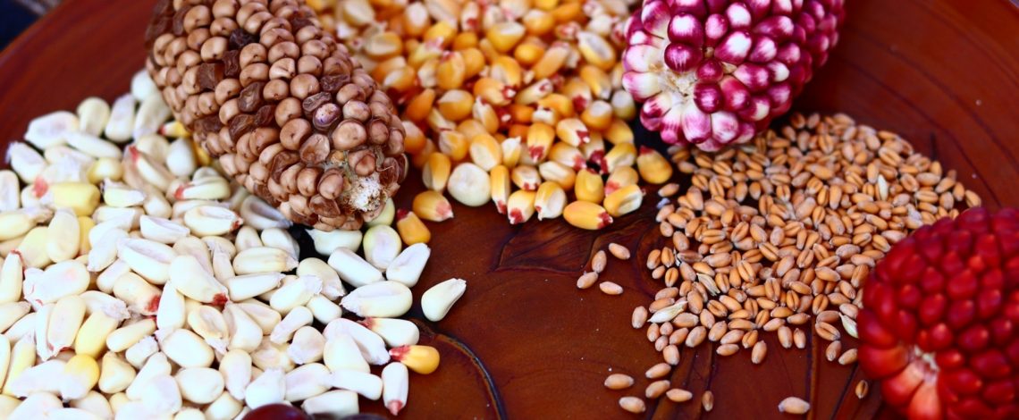 Estudio: Generación de una caja de herramientas para la protección de las semillas tradicionales para campesinas, campesinos y pequeños agricultores y agricultoras