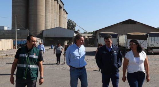 Ministro Valenzuela constata en terreno funcionamiento del reglamento especial del trigo en el marco de la Ley de Muestra y Contramuestra