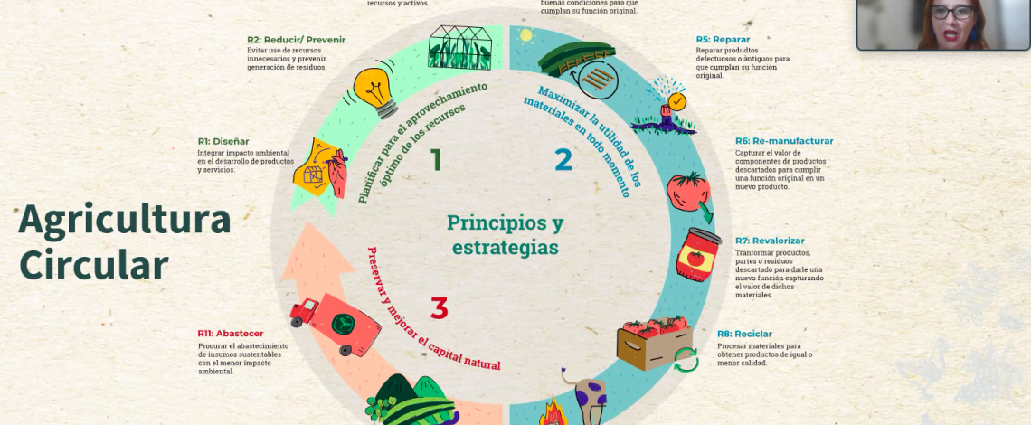 Odepa participó en webinar sobre agricultura regenerativa y economía circular