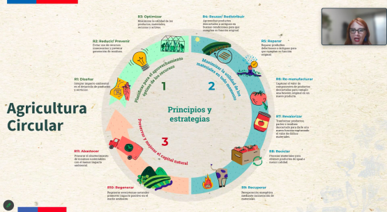 Odepa participó en webinar sobre agricultura regenerativa y economía circular