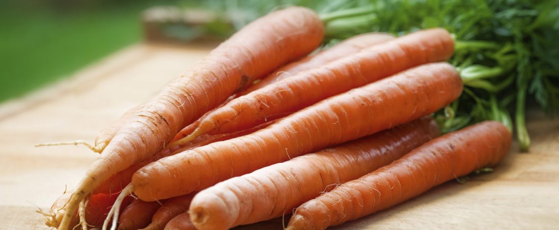 Ficha de costo: Zanahoria, región Metropolitana