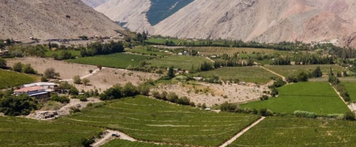 El pisco chileno avanza hacia el reconocimiento mundial: se aprueba su inclusión en la Lista Tentativa de UNESCO