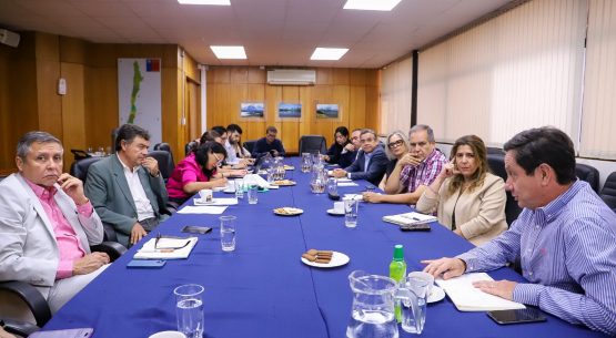 Cerezas chilenas varadas en altamar llegan a China: Ministro Valenzuela confirma que se inspeccionarán los contenedores para verificar el estado de la fruta