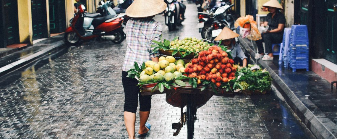Sudeste asiático: las nuevas oportunidades que Vietnam ofrece para el sector silvoagropecuario chileno