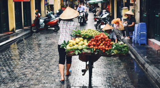 Sudeste asiático: las nuevas oportunidades que Vietnam ofrece para el sector silvoagropecuario chileno