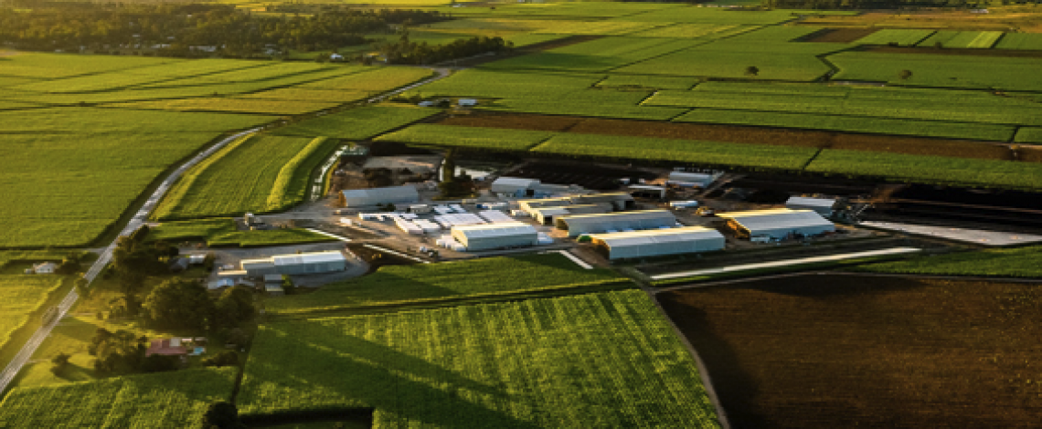 Análisis de la concentración de la tierra con uso silvoagropecuario en Chile