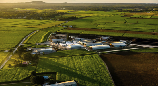 Análisis de la concentración de la tierra con uso silvoagropecuario en Chile